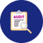 Audit Support